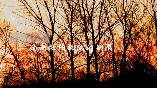 逾期缴纳税款的期限 逾期缴纳税款的期限