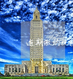 逾期缴纳税款的滞纳金 逾期缴纳税款的滞纳金