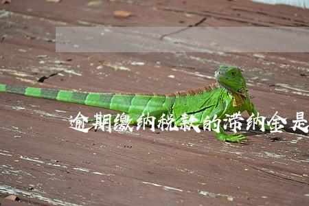 逾期缴纳税款的滞纳金是多少 逾期缴纳税款的滞纳金是多少