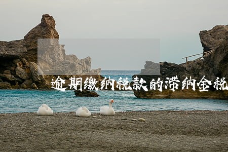 逾期缴纳税款的滞纳金税前扣除
