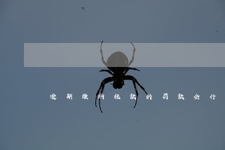 逾期缴纳税款的罚款会计分录 逾期缴纳税款的罚款会计分录