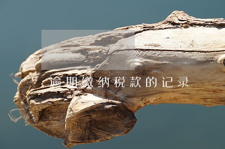 逾期缴纳税款的记录 逾期缴纳税款的记录