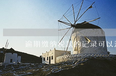 逾期缴纳税款的记录可以消除吗