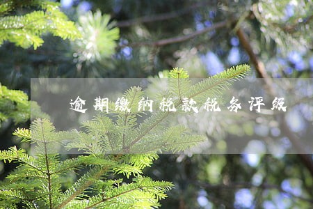 逾期缴纳税款税务评级 逾期缴纳税款税务评级