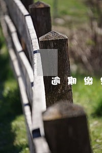 逾期缴纳税款税率多少 逾期缴纳税款税率多少