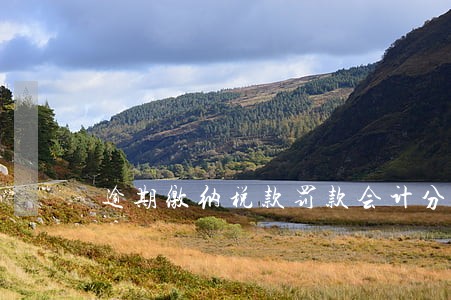逾期缴纳税款罚款会计分录 逾期缴纳税款罚款会计分录