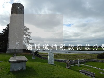 逾期缴纳税款罚款分录 逾期缴纳税款罚款分录