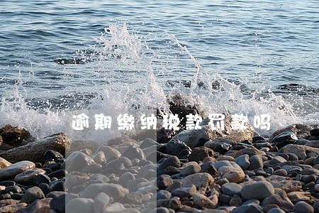 逾期缴纳税款罚款吗 逾期缴纳税款罚款吗