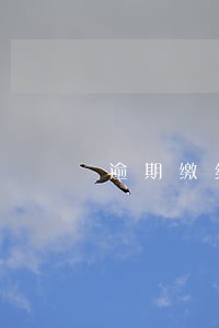 逾期缴纳税款罚款处罚程序 逾期缴纳税款罚款处罚程序