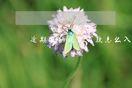 逾期缴纳税款罚款怎么入账 逾期缴纳税款罚款怎么入账