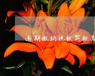 逾期缴纳税款罚款怎么办 逾期缴纳税款罚款怎么办