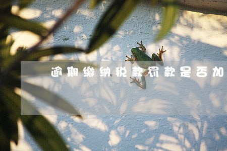 逾期缴纳税款罚款是否加罚 逾期缴纳税款罚款是否加罚