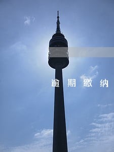 逾期缴纳税款罚款每日 逾期缴纳税款罚款每日
