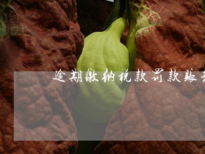 逾期缴纳税款罚款账务怎么处理 逾期缴纳税款罚款账务怎么处理