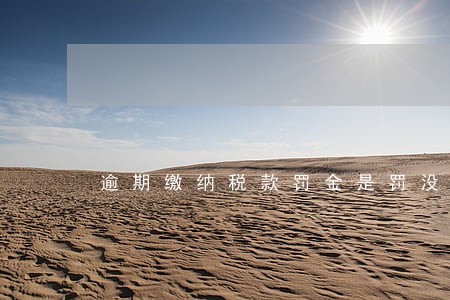 逾期缴纳税款罚金是罚没吗 逾期缴纳税款罚金是罚没吗
