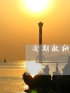 逾期缴纳税款能否申请行政复议 逾期缴纳税款能否申请行政复议