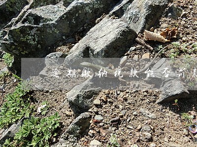 逾期缴纳税款能否罚款 逾期缴纳税款能否罚款