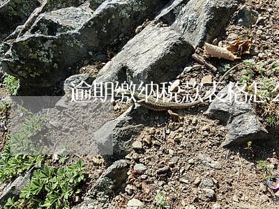 逾期缴纳税款表格怎么做 逾期缴纳税款表格怎么做