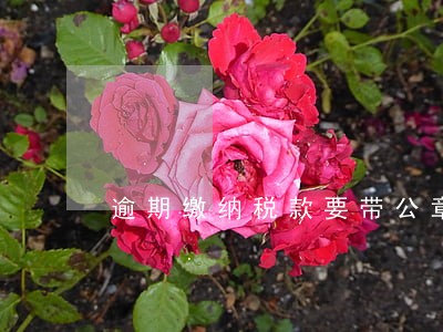 逾期缴纳税款要带公章吗