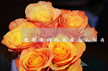 逾期缴纳税款要怎么解决 逾期缴纳税款要怎么解决