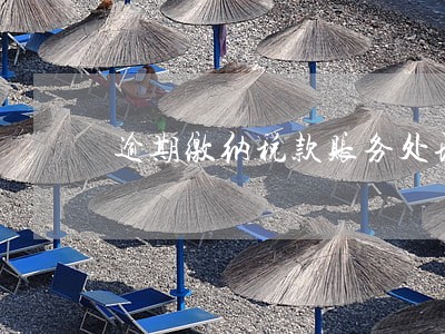 逾期缴纳税款账务处理 逾期缴纳税款账务处理