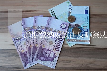逾期缴纳税款违反哪条法律 逾期缴纳税款违反哪条法律