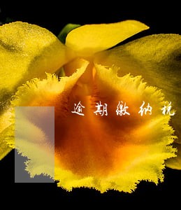 逾期缴纳税款适用征管法多少条 逾期缴纳税款适用征管法多少条