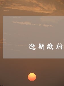 逾期缴纳税款首违不罚 逾期缴纳税款首违不罚