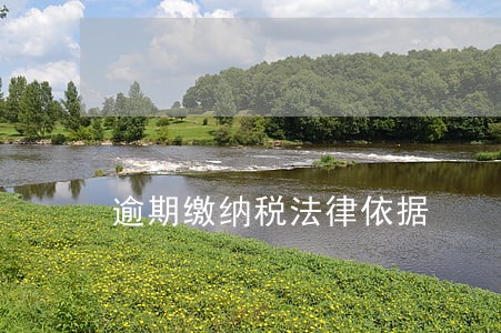 逾期缴纳税法律依据 逾期缴纳税法律依据