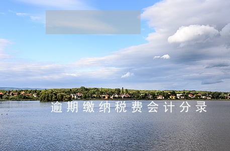逾期缴纳税费会计分录 逾期缴纳税费会计分录