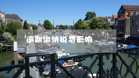 逾期缴纳税费影响 逾期缴纳税费影响