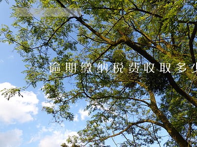 逾期缴纳税费收取多少滞纳金 逾期缴纳税费收取多少滞纳金