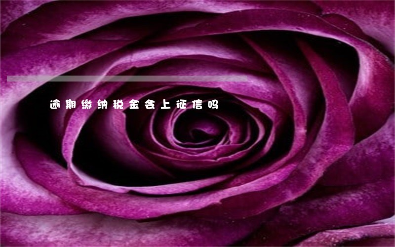 逾期缴纳税金会上征信吗 逾期缴纳税金会上征信吗