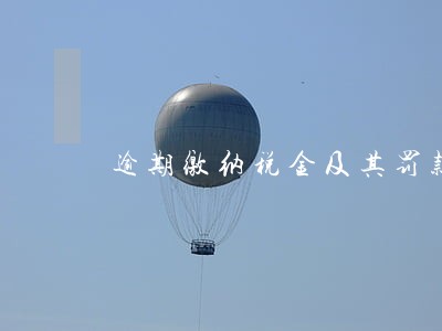 逾期缴纳税金及其罚款会计分录 逾期缴纳税金及其罚款会计分录