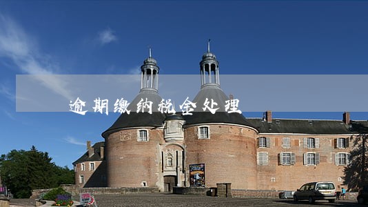 逾期缴纳税金处理 逾期缴纳税金处理