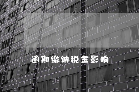 逾期缴纳税金影响 逾期缴纳税金影响