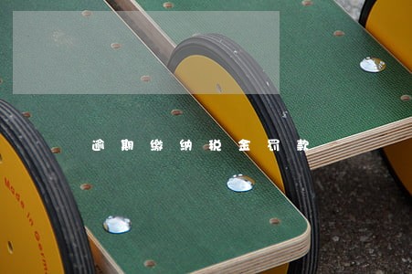 逾期缴纳税金罚款 逾期缴纳税金罚款