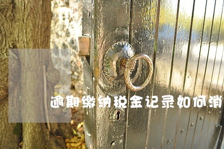 逾期缴纳税金记录如何消除 逾期缴纳税金记录如何消除