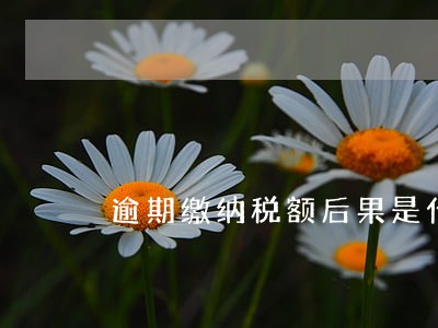 逾期缴纳税额后果是什么 逾期缴纳税额后果是什么