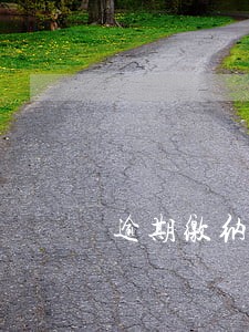 逾期缴纳维修基金 逾期缴纳维修基金