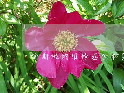 逾期缴纳维修基金和契税 逾期缴纳维修基金和契税