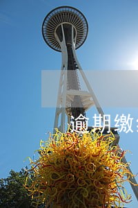 逾期缴纳缴纳税款滞纳金