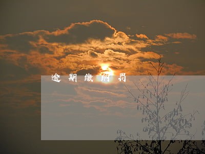 逾期缴纳罚