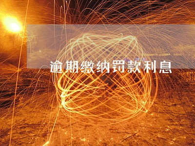 逾期缴纳罚款利息 逾期缴纳罚款利息