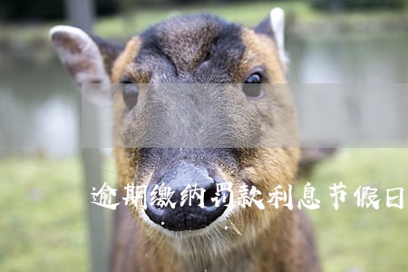 逾期缴纳罚款利息节假日计算 逾期缴纳罚款利息节假日计算