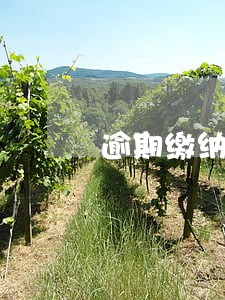 逾期缴纳罚款变双倍 逾期缴纳罚款变双倍