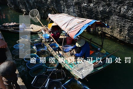逾期缴纳罚款可以加处罚吗 逾期缴纳罚款可以加处罚吗