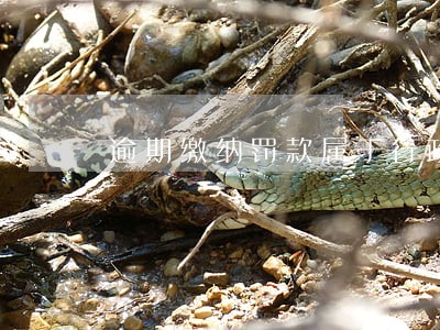 逾期缴纳罚款属于行政处罚吗 逾期缴纳罚款属于行政处罚吗