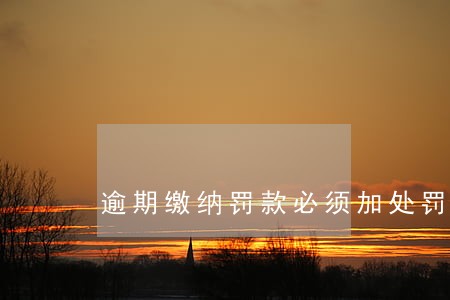 逾期缴纳罚款必须加处罚款么 逾期缴纳罚款必须加处罚款么