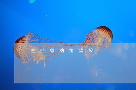 逾期缴纳罚款按 逾期缴纳罚款按